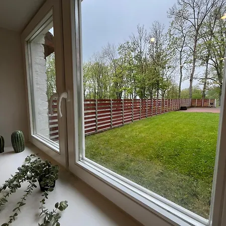 Just Rest Automatic *